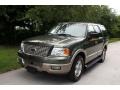 2003 Estate Green Metallic Ford Expedition Eddie Bauer 4x4  photo #1