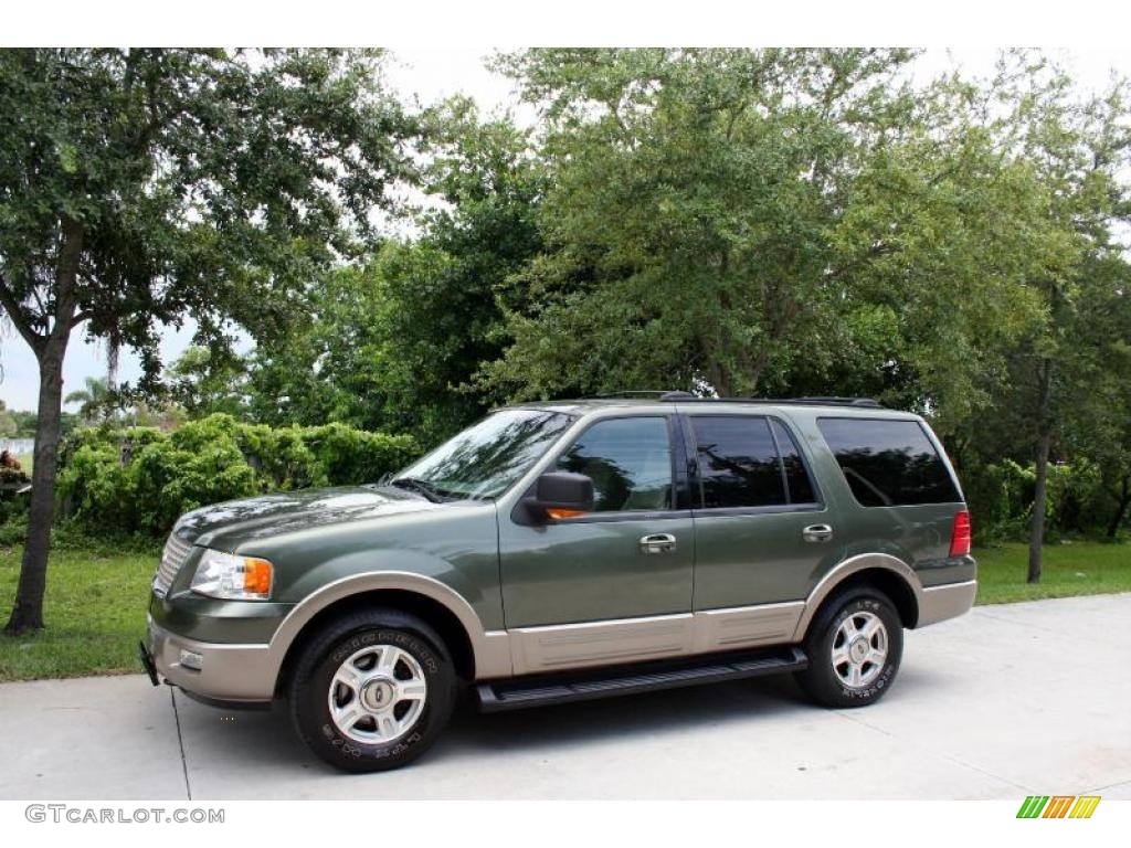 2003 Expedition Eddie Bauer 4x4 - Estate Green Metallic / Medium Parchment photo #2