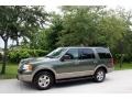 2003 Estate Green Metallic Ford Expedition Eddie Bauer 4x4  photo #2