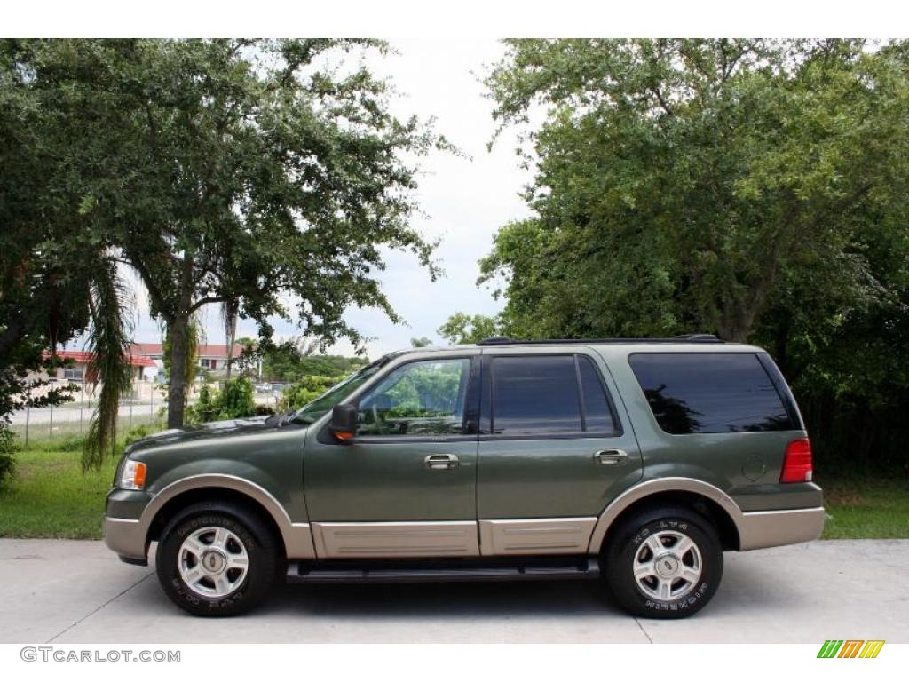 2003 Expedition Eddie Bauer 4x4 - Estate Green Metallic / Medium Parchment photo #3