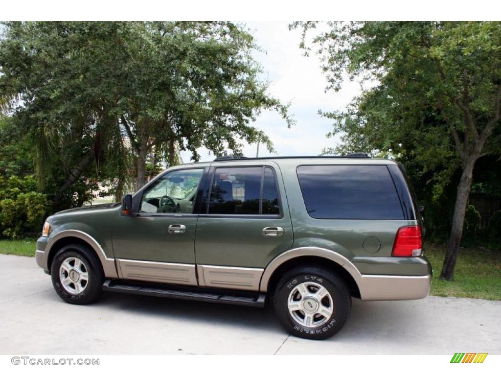 2003 Expedition Eddie Bauer 4x4 - Estate Green Metallic / Medium Parchment photo #4