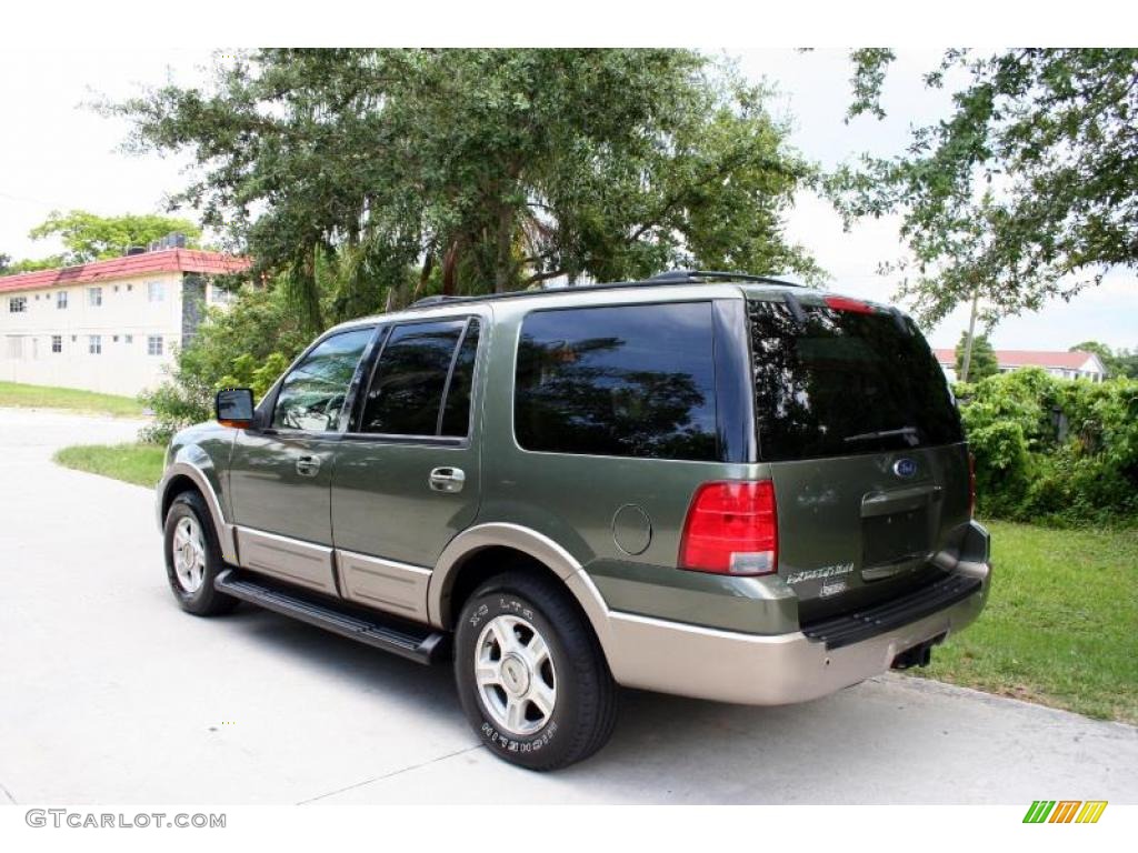 2003 Expedition Eddie Bauer 4x4 - Estate Green Metallic / Medium Parchment photo #6
