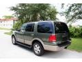 2003 Estate Green Metallic Ford Expedition Eddie Bauer 4x4  photo #6
