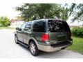 2003 Estate Green Metallic Ford Expedition Eddie Bauer 4x4  photo #7