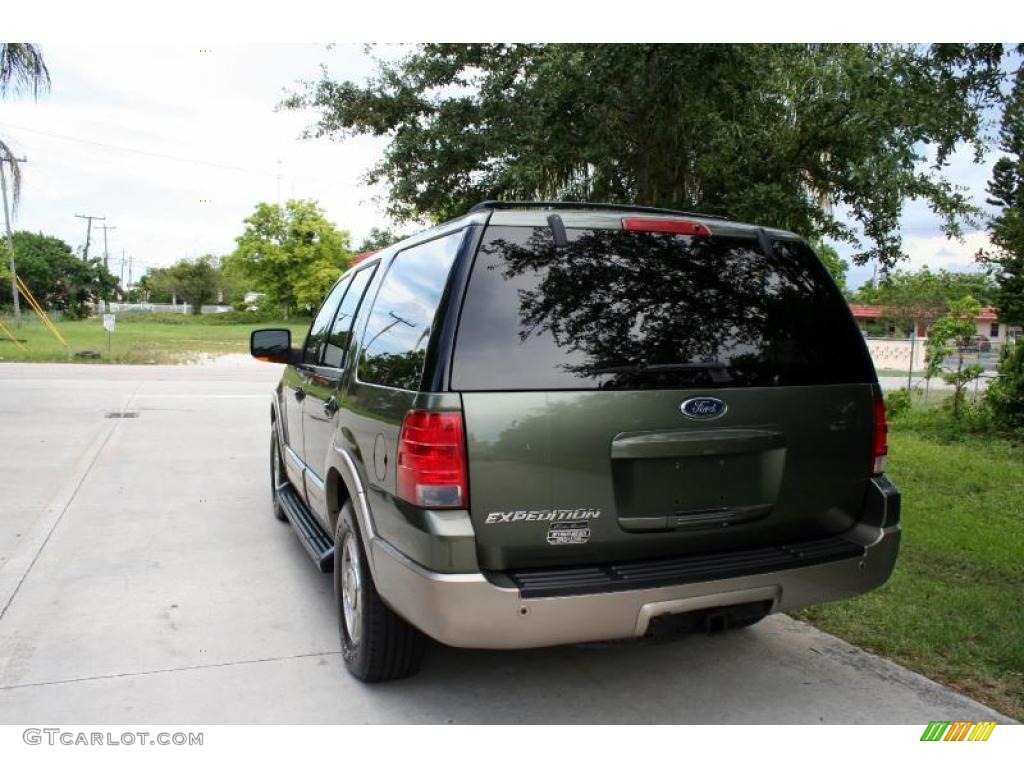 2003 Expedition Eddie Bauer 4x4 - Estate Green Metallic / Medium Parchment photo #8
