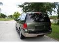 2003 Estate Green Metallic Ford Expedition Eddie Bauer 4x4  photo #8