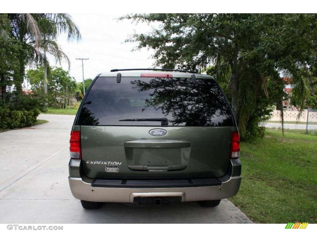 2003 Expedition Eddie Bauer 4x4 - Estate Green Metallic / Medium Parchment photo #9