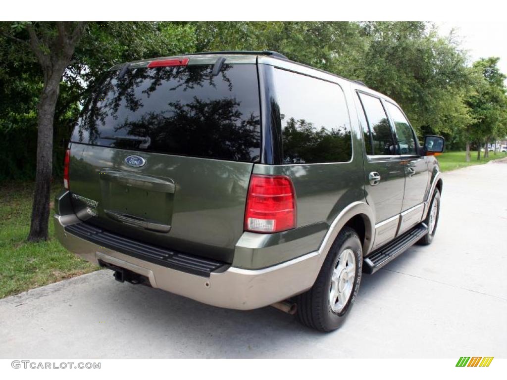 2003 Expedition Eddie Bauer 4x4 - Estate Green Metallic / Medium Parchment photo #10