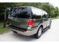 2003 Estate Green Metallic Ford Expedition Eddie Bauer 4x4  photo #10