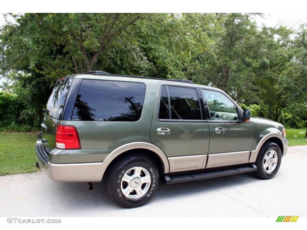 2003 Expedition Eddie Bauer 4x4 - Estate Green Metallic / Medium Parchment photo #11
