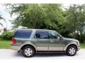 2003 Estate Green Metallic Ford Expedition Eddie Bauer 4x4  photo #12