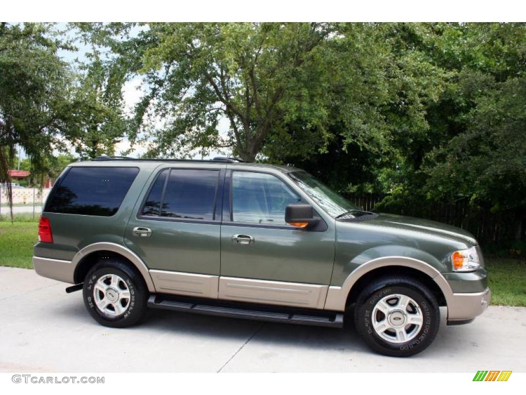 2003 Expedition Eddie Bauer 4x4 - Estate Green Metallic / Medium Parchment photo #13