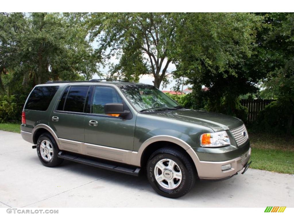 2003 Expedition Eddie Bauer 4x4 - Estate Green Metallic / Medium Parchment photo #14