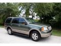 2003 Estate Green Metallic Ford Expedition Eddie Bauer 4x4  photo #14