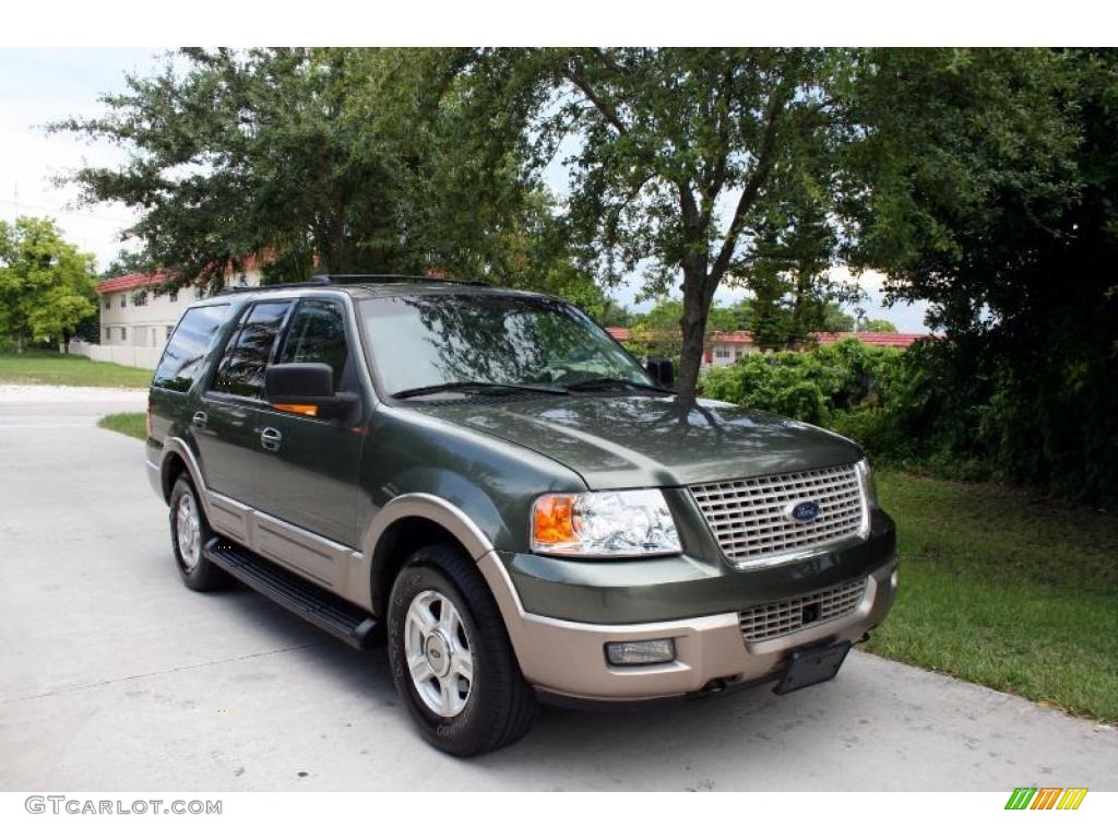 2003 Expedition Eddie Bauer 4x4 - Estate Green Metallic / Medium Parchment photo #15