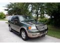 2003 Estate Green Metallic Ford Expedition Eddie Bauer 4x4  photo #15