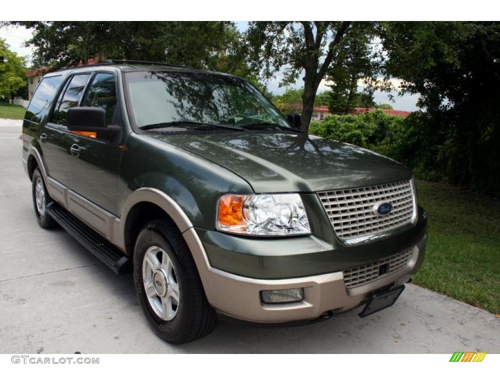 2003 Expedition Eddie Bauer 4x4 - Estate Green Metallic / Medium Parchment photo #17