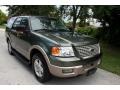 2003 Estate Green Metallic Ford Expedition Eddie Bauer 4x4  photo #17