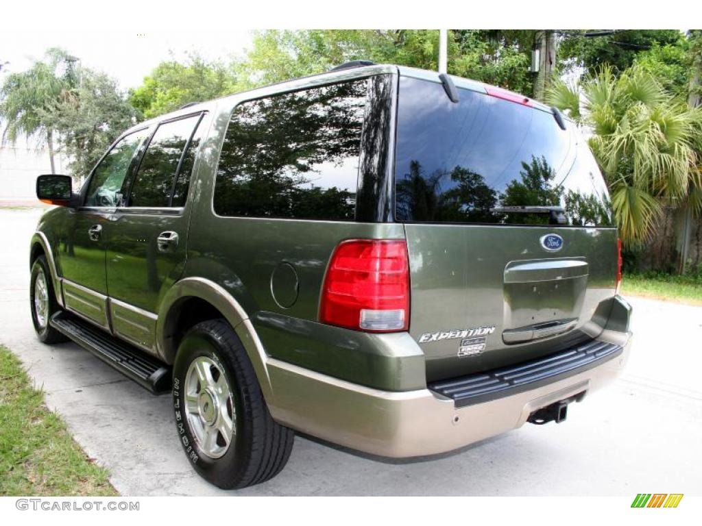 2003 Expedition Eddie Bauer 4x4 - Estate Green Metallic / Medium Parchment photo #19