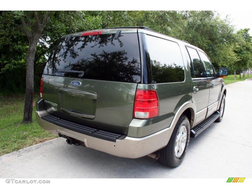 2003 Expedition Eddie Bauer 4x4 - Estate Green Metallic / Medium Parchment photo #20