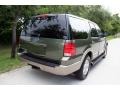 2003 Estate Green Metallic Ford Expedition Eddie Bauer 4x4  photo #20