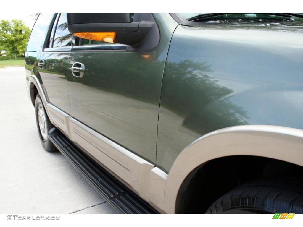 2003 Expedition Eddie Bauer 4x4 - Estate Green Metallic / Medium Parchment photo #21