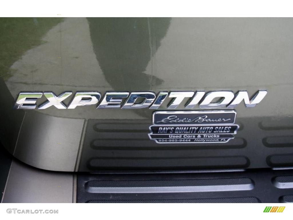 2003 Expedition Eddie Bauer 4x4 - Estate Green Metallic / Medium Parchment photo #102
