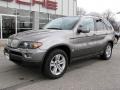 2006 Sterling Grey Metallic BMW X5 4.4i  photo #15