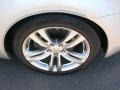 Liquid Platinum Silver - G 37 Coupe Photo No. 16