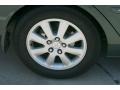 Aspen Green Pearl - Camry XLE V6 Photo No. 17
