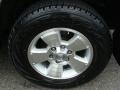 Titanium Metallic - 4Runner SR5 4x4 Photo No. 14