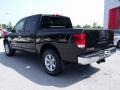 Galaxy Black - Titan SE Crew Cab Photo No. 3
