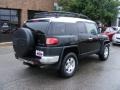 Black Diamond - FJ Cruiser 4WD Photo No. 3