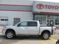 Radiant Silver - Titan Pro-4X Crew Cab 4x4 Photo No. 4