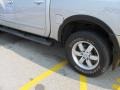 Radiant Silver - Titan Pro-4X Crew Cab 4x4 Photo No. 5
