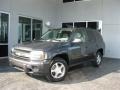 Graphite Metallic 2007 Chevrolet TrailBlazer LT