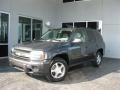 2007 Graphite Metallic Chevrolet TrailBlazer LT  photo #1