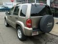 Light Khaki Metallic - Liberty Limited 4x4 Photo No. 3