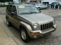 Light Khaki Metallic - Liberty Limited 4x4 Photo No. 6