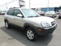 Sahara Silver - Tucson GLS V6 4x4 Photo No. 10