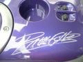 Viper Black/Purple - Viper ACR Roanoke Dodge Edition Coupe Photo No. 17