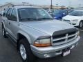 2002 Bright Silver Metallic Dodge Durango R/T 4x4  photo #14