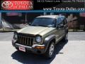 Cactus Green Pearl 2004 Jeep Liberty Gallery