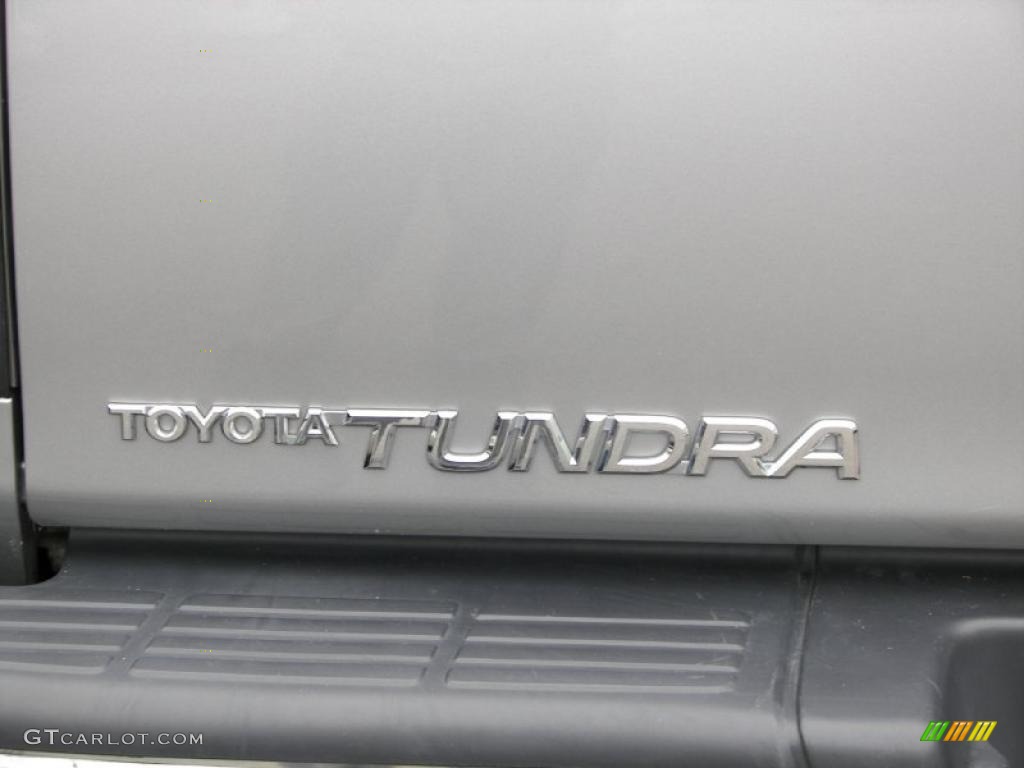 2003 Tundra SR5 Access Cab 4x4 - Silver Sky Metallic / Gray photo #19