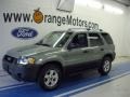 2005 Titanium Green Metallic Ford Escape XLT V6 4WD  photo #1