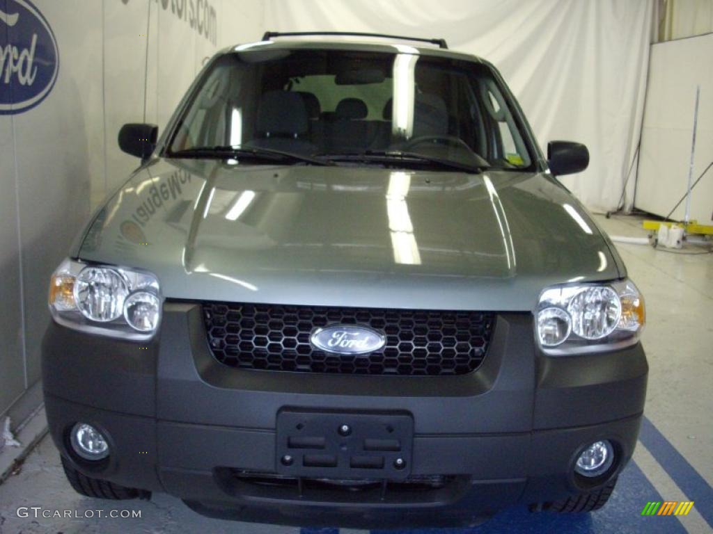 2005 Escape XLT V6 4WD - Titanium Green Metallic / Medium/Dark Flint Grey photo #2