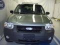 2005 Titanium Green Metallic Ford Escape XLT V6 4WD  photo #2