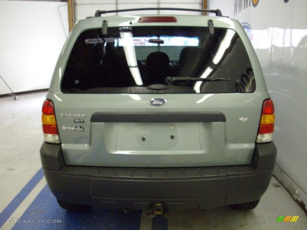 2005 Escape XLT V6 4WD - Titanium Green Metallic / Medium/Dark Flint Grey photo #4