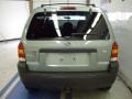 2005 Titanium Green Metallic Ford Escape XLT V6 4WD  photo #4