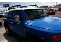 Voodoo Blue - FJ Cruiser 4WD Photo No. 19